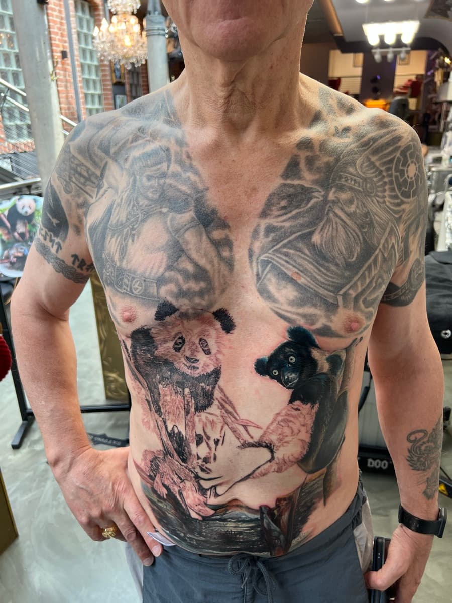 Cover-Up Vorher — Alex666